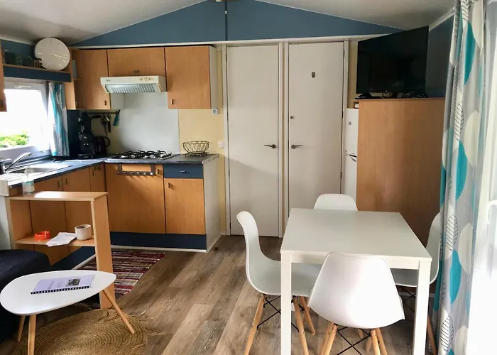 Mobil-home La Palmyre - Zoo, Plage, Animations